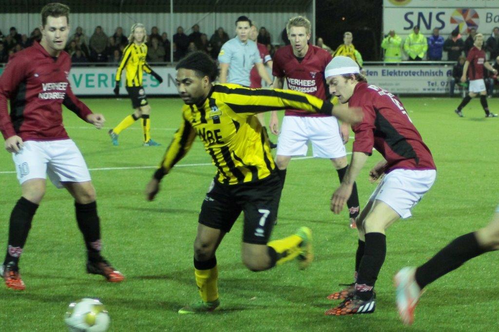 rijnvogels-rbb (4)