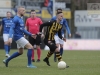 2020-03-10-RBB-1-GVVV-1-logo-20-van-39