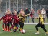 2025-02-15-RBB-JO-07-03-en-04-17-van-88