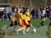 22026-04-06-RBB-uien-ochtend-114